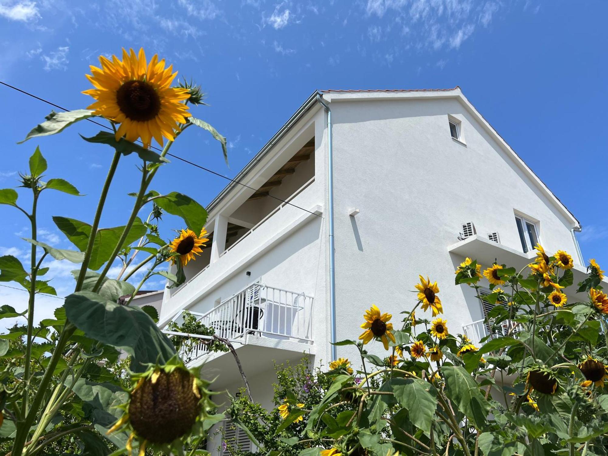Apartments Nikola Stipisic Hvar Town Exterior foto