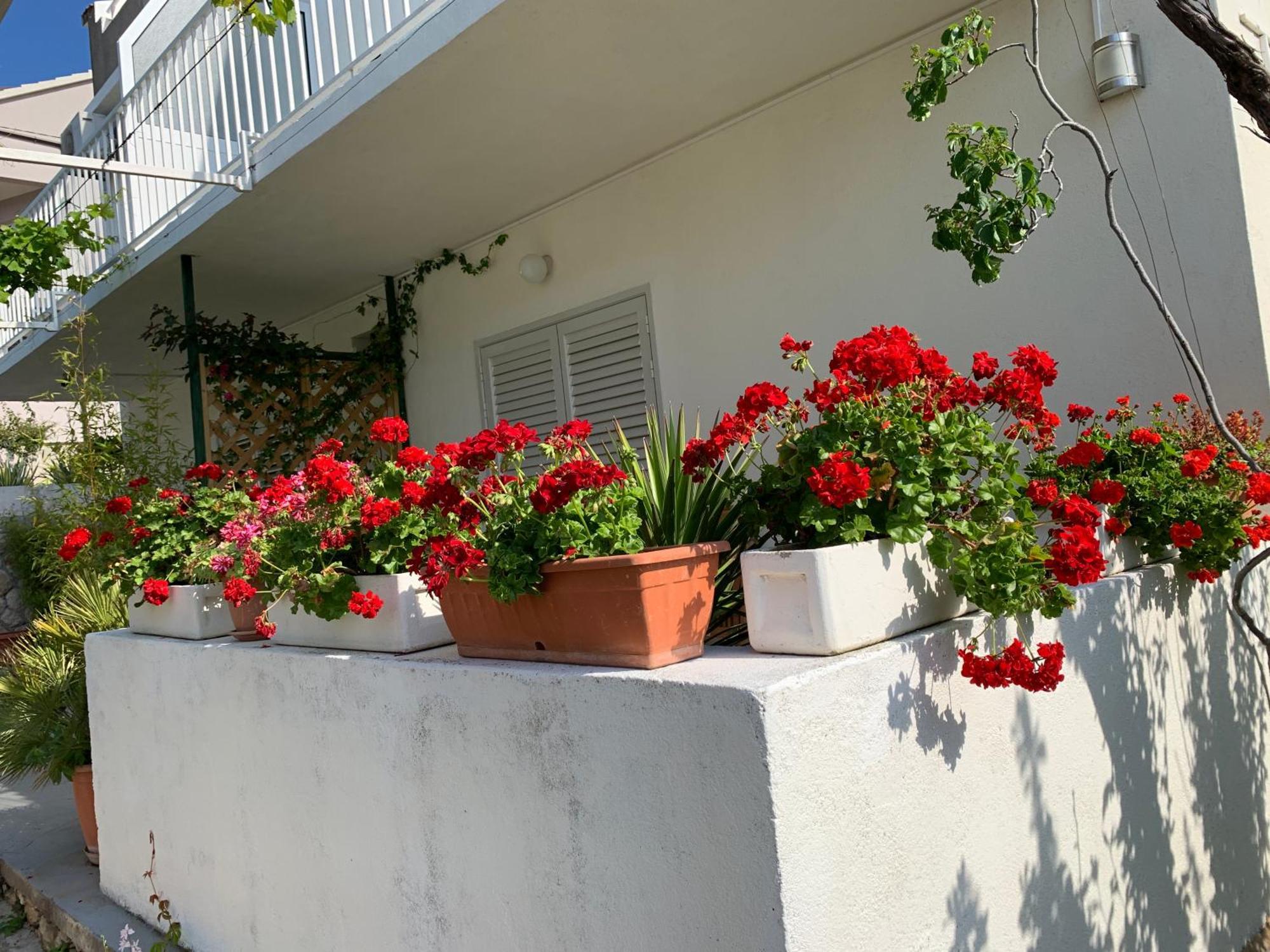 Apartments Nikola Stipisic Hvar Town Exterior foto